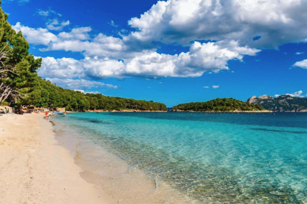 Screenshot 2024-12-09 at 15.50.55 kolesarjene mallorca