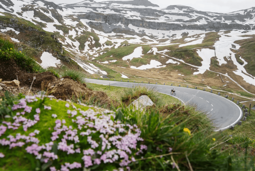 Screenshot 2026-03-03 at 09.52.14